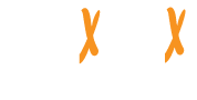 Flex Box Racing